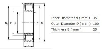 SKF N407 Bearing cylinderbearing