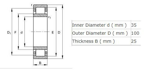 SKF N407 Bearing cylinderbearing